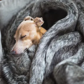 Faux-Fur Dog Blanket in Wolf Grey