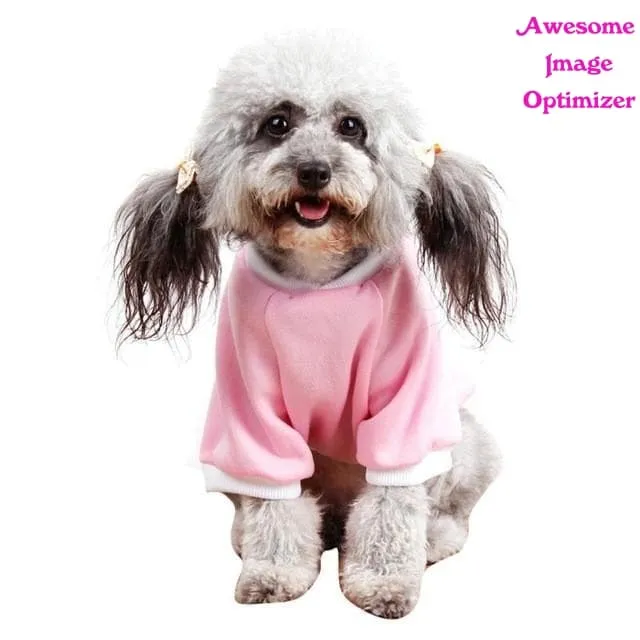 Jackets for Dogs - Coats for Pets - Puppy Clothes